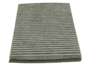 Filter, cabin air (80000750)