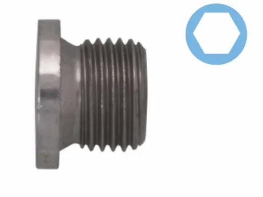 Screw Plug, oil sump (220137S)