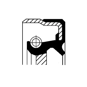 Shaft Seal, differential (01025573B)