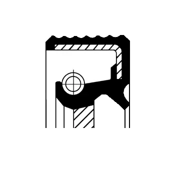 Shaft Seal, camshaft (01029922B)