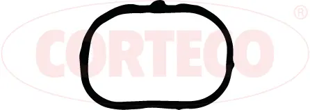 Gasket, intake manifold (450384P)