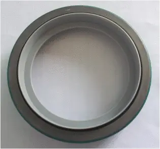 Shaft Seal, crankshaft (19036878B)