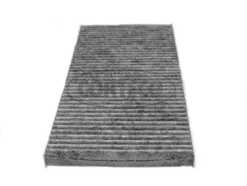 Filter, cabin air (80000433)