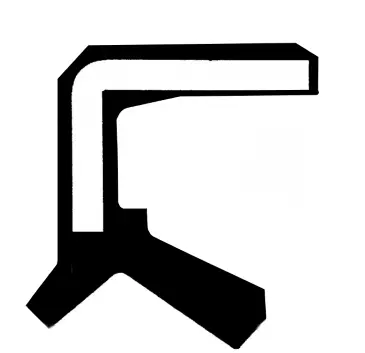 Shaft Seal, differential (19017039B)