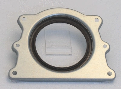 Shaft Seal, crankshaft (19035698B)
