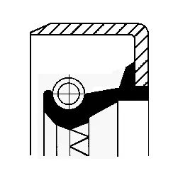 Shaft Seal, differential (20019176B)