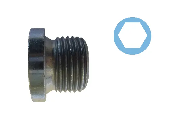 Screw Plug, oil sump (220088H)