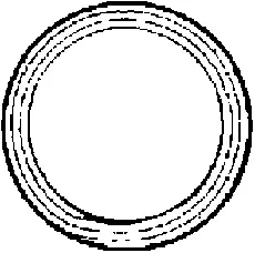 Gasket, exhaust pipe (027096H)