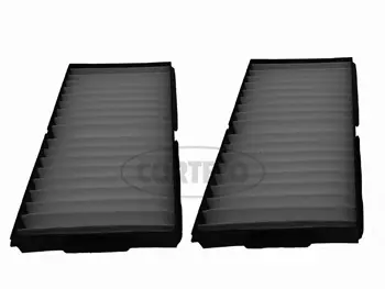 Filter, cabin air (21652860)