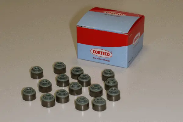 Seal Set, valve stem (19036072)
