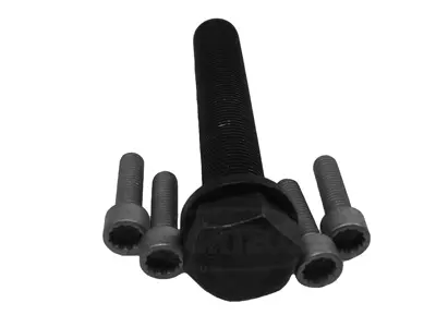 Bolt Set, crankshaft pulley (80001244)