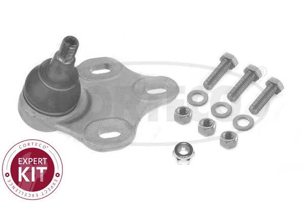 Ball Joint (49396001)