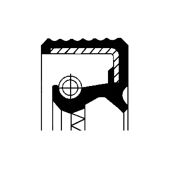 Shaft Seal, crankshaft (12010668B)