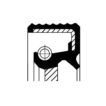 Shaft Seal, manual transmission (01030101B)
