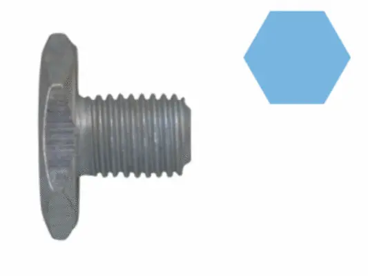 Screw Plug, oil sump (220116S)