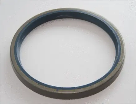 Shaft Seal, wheel hub (12011387B)