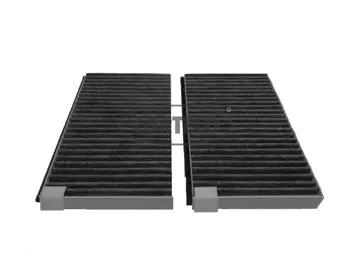 Filter, cabin air (80001131)