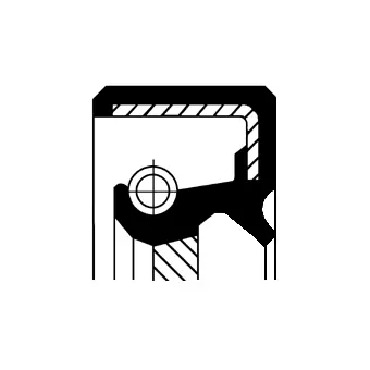Shaft Seal, camshaft (19027629B)