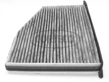 Filter, cabin air (80000602)