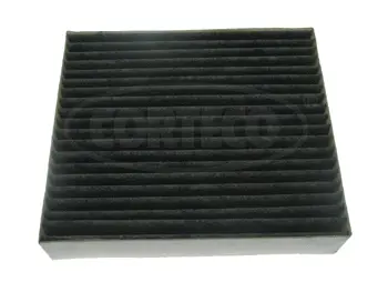 Filter, cabin air (21653013)