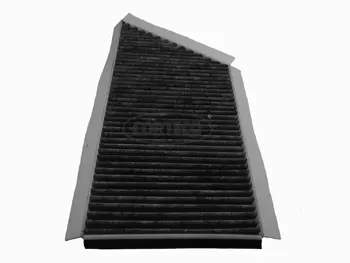 Filter, cabin air (21653068)