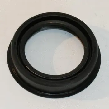 Shaft Seal, camshaft (19016586B)