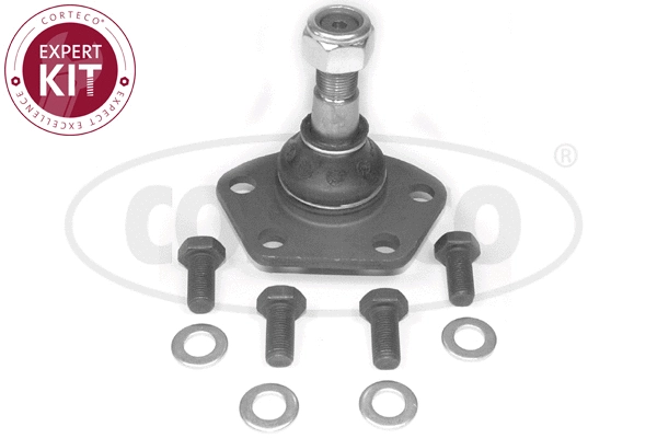 Ball Joint (49399274)