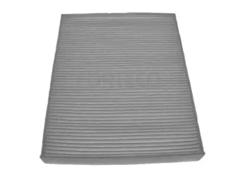 Filter, cabin air (21653020)