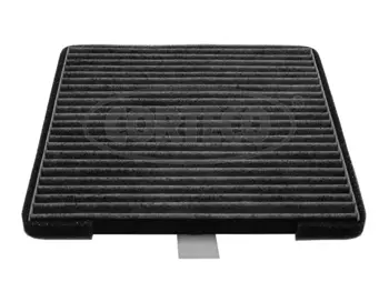 Filter, cabin air (80004405)