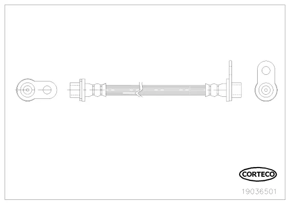 Brake Hose (19036501)