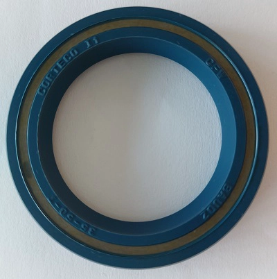 Seal Ring