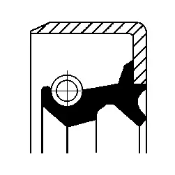 Seal Ring (19035906B)