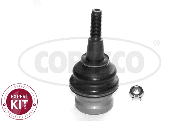 Ball Joint (49398755)