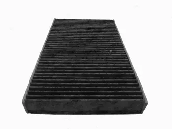 Filter, cabin air (21652540)