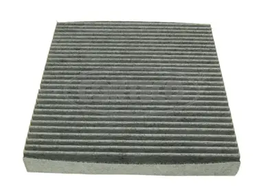 Filter, cabin air (80000746)
