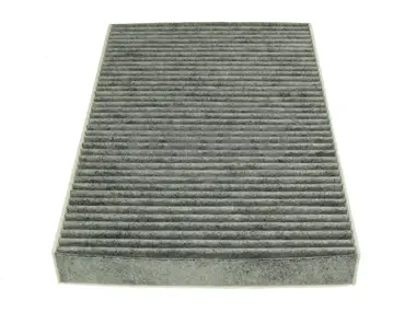 Filter, cabin air (80000916)