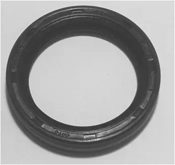 Shaft Seal, crankshaft (19036806B)