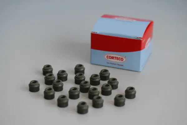 Seal Set, valve stem (19036115)