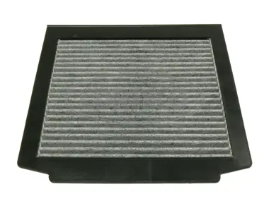 Filter, cabin air (80000772)