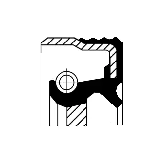 Shaft Seal, crankshaft (12013988B)