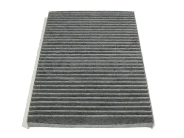 Filter, cabin air (80000779)