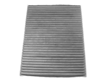 Filter, cabin air (21652858)