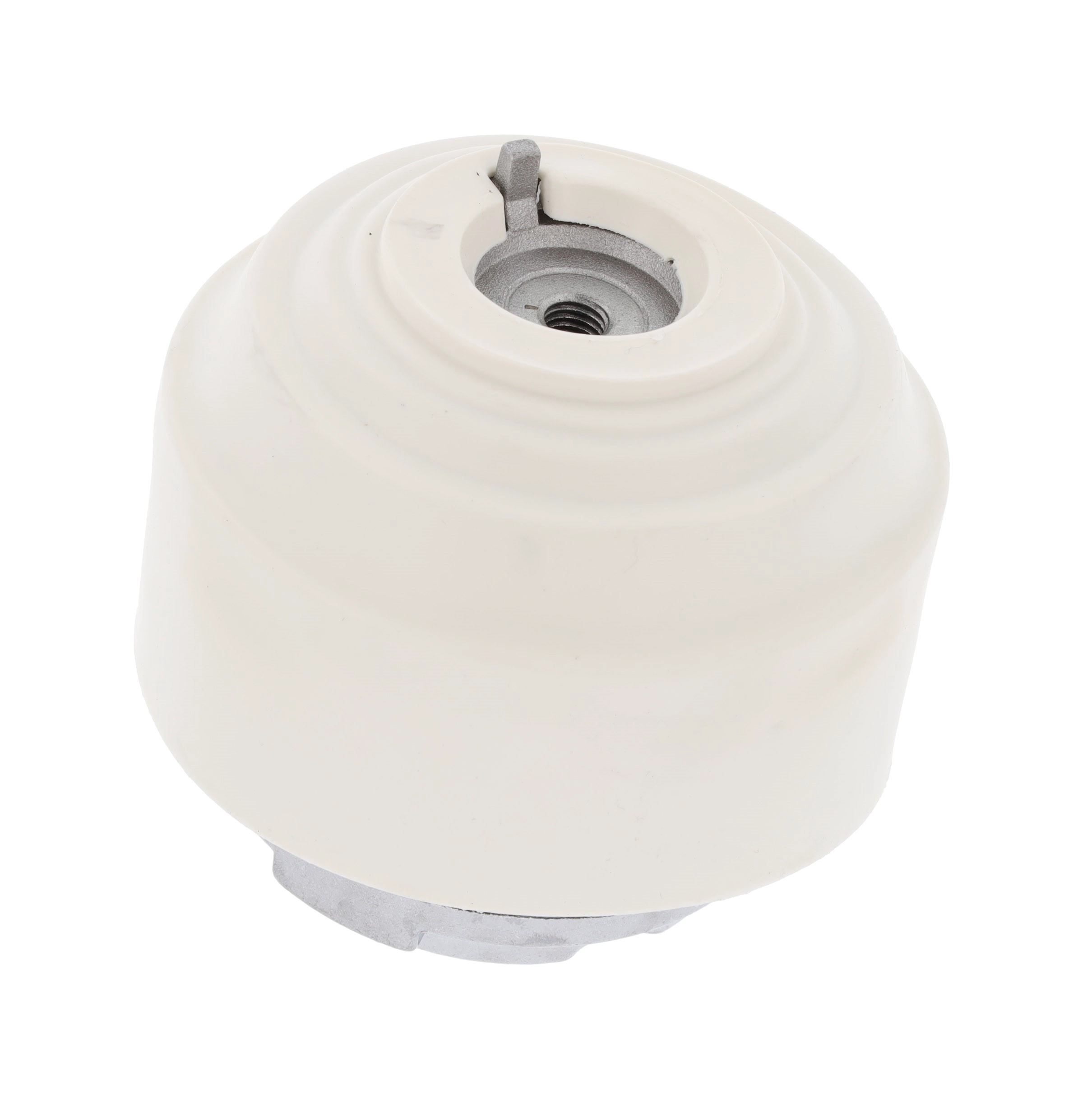 Mounting, engine (80004616)