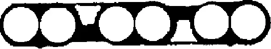 Gasket, intake manifold (450150P)