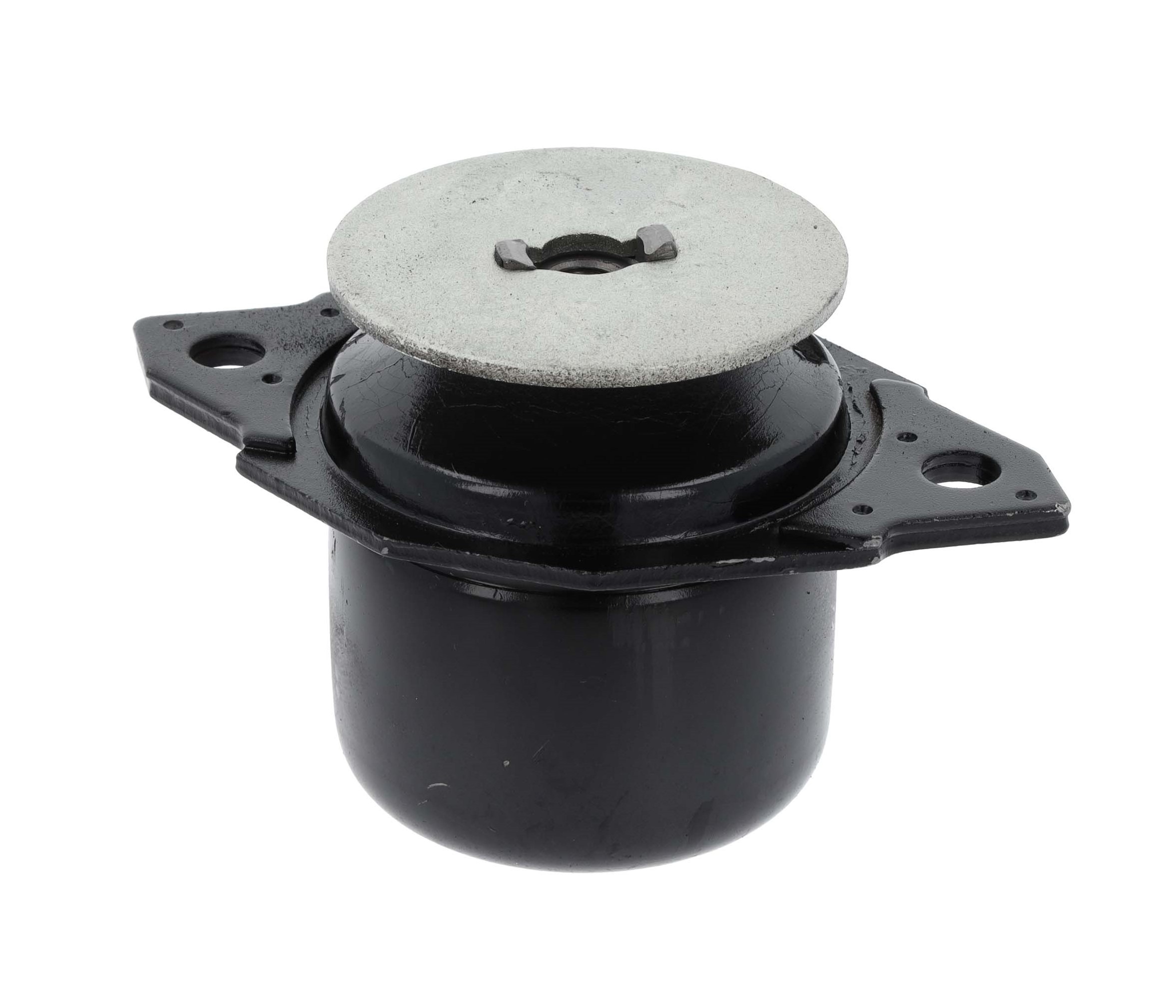 Mounting, automatic transmission (21652428)