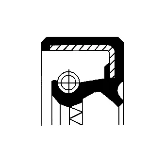 Shaft Seal, manual transmission (12015772B)