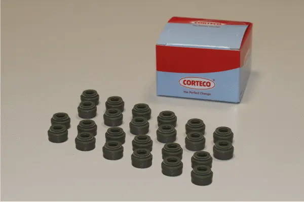 Seal Set, valve stem (19036424)