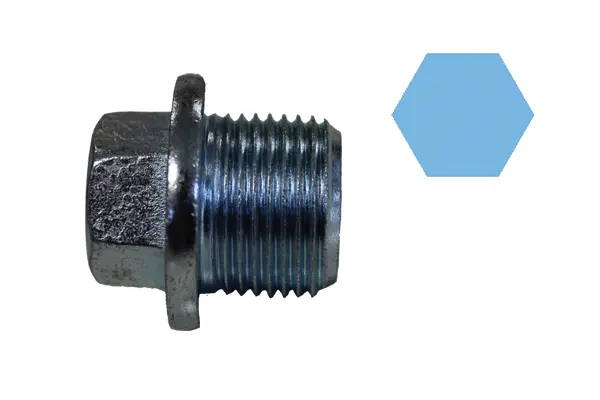 Screw Plug, oil sump (220078H)