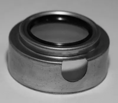Shaft Seal, wheel hub (19027869B)