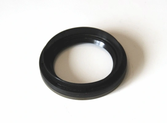 Shaft Seal, crankshaft (49423886)
